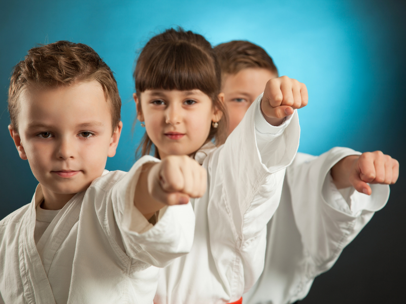 Main image of Traditional Martial Arts & Fitness