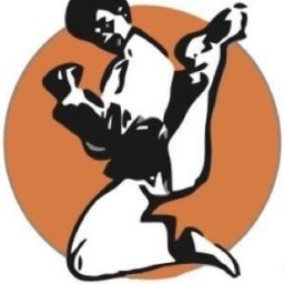 Main image of Traditional Taekwondo Center of South Tampa