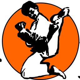 Main image of Traditional Taekwondo Center of Tampa
