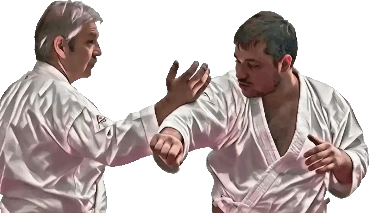 Main image of Traditionele Karate Club Tenkai
