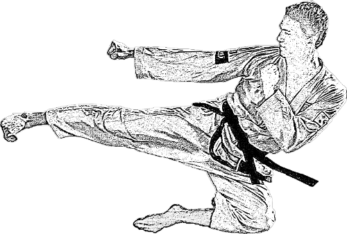 Main image of Traditionelles Taekwon-Do Dresden Löbtau