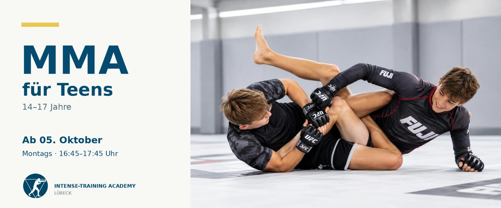 Main image of Trainingstagebuch Krav Maga, Muay Thai, BJJ Lübeck | Intense-Training