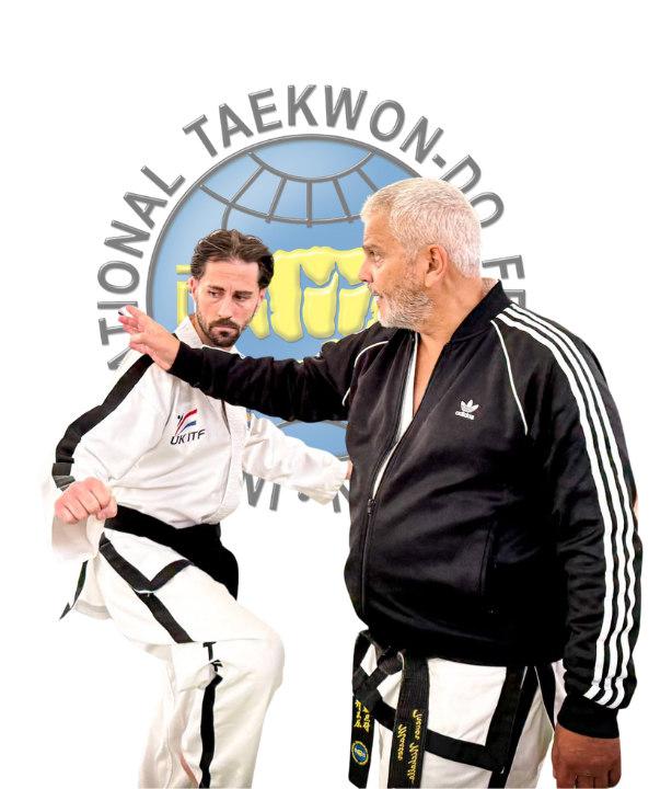 Main image of Trenic Taekwon-Do - Yiewsley