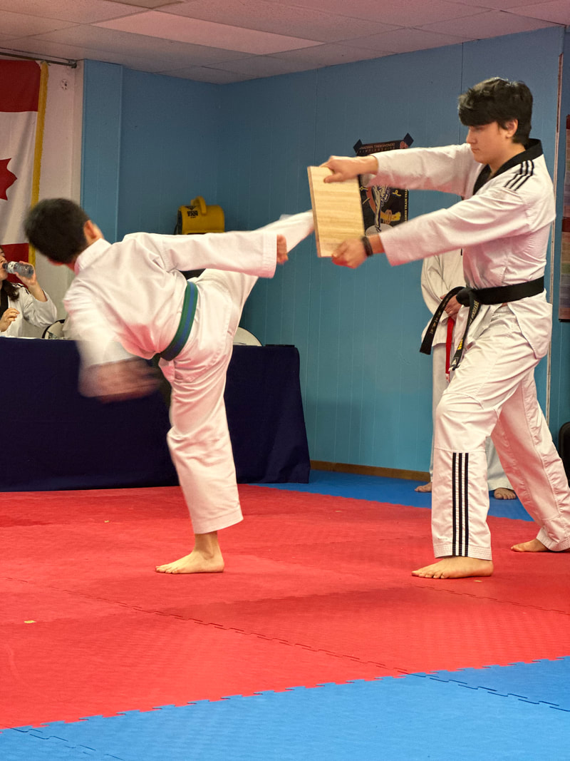 Main image of Tri Star Taekwondo
