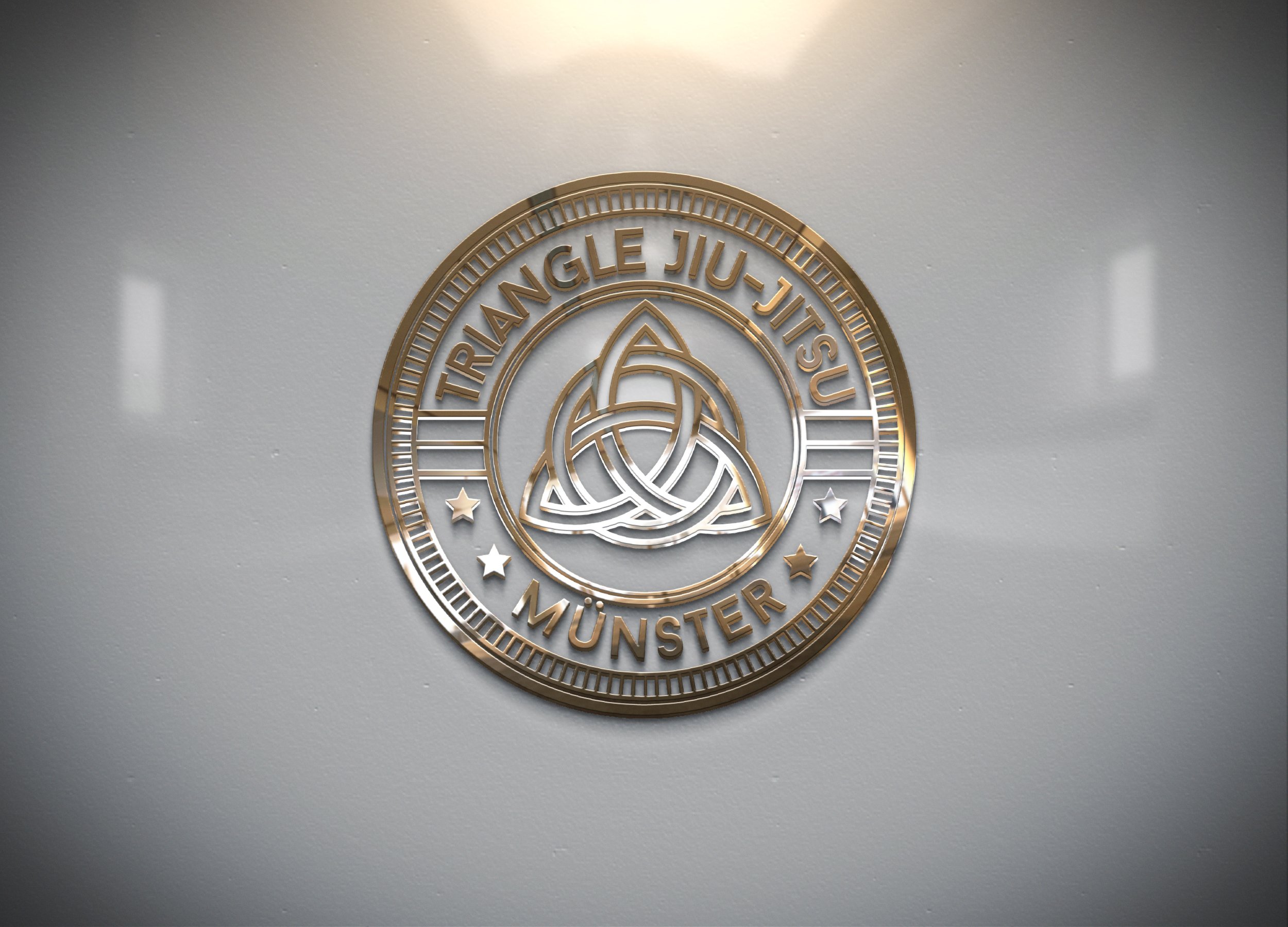 Main image of Triangle Martial Arts