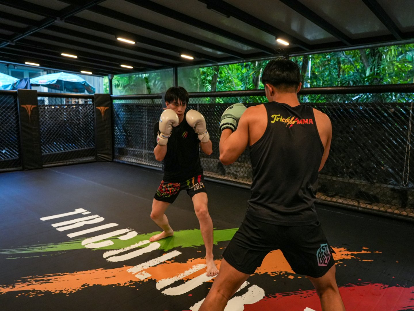 Main image of Tricolor MMA