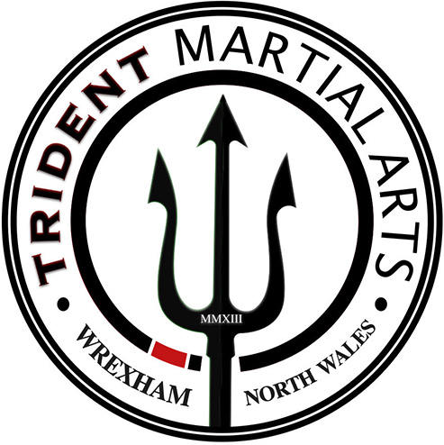 Main image of Trident Martial Arts Wrexham