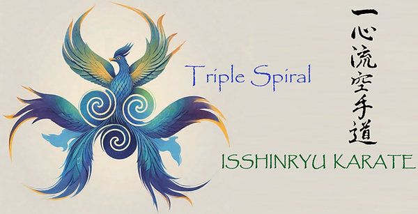 Main image of Triple Spiral Studio