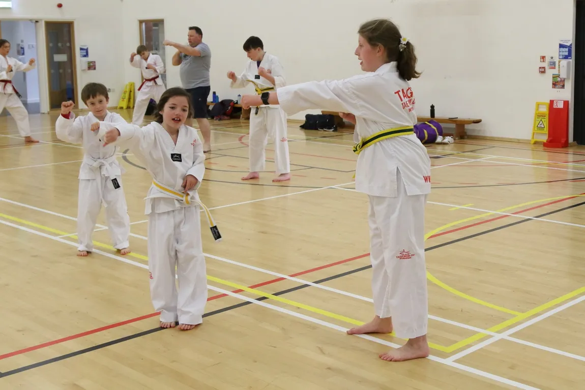 Main image of Troon TaeKwonDo