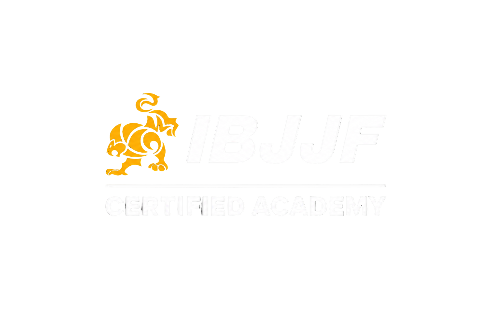 Tru Force Martial Arts - Team Daniel Gracie