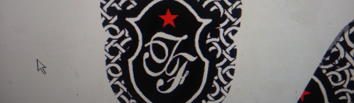 Main image of True Fighter