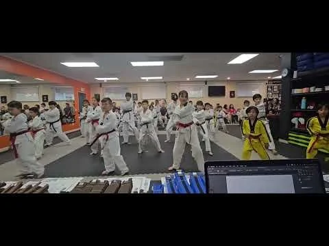 True Martial Arts Excellence (TMAX)