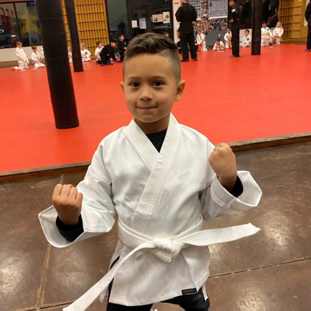 Main image of TruMotion Martial Arts - Bountiful