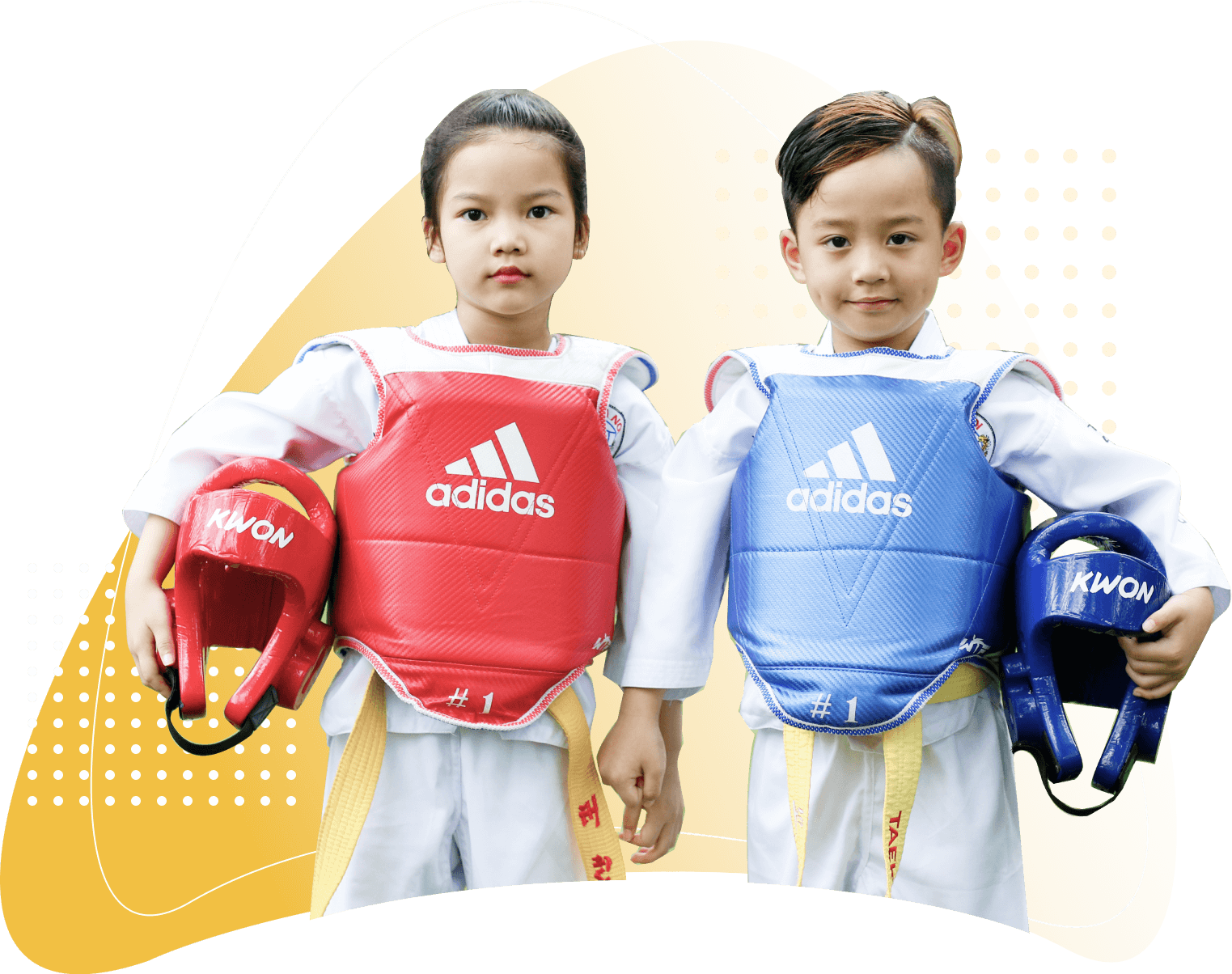 Main image of Trung tâm Taekwondo Kids Việt Nam