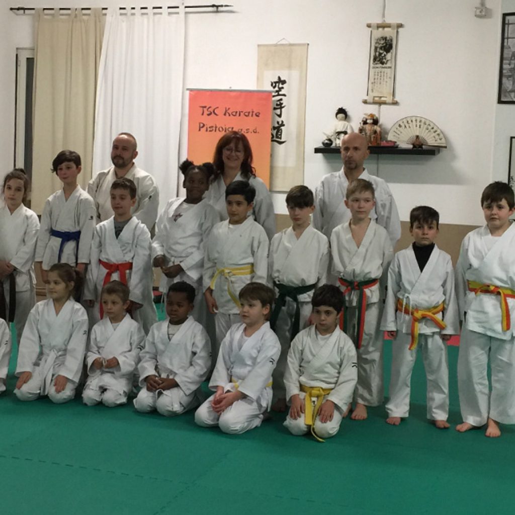 Main image of TSC Karate Pistoia