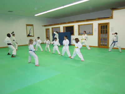 Main image of Tsuruoka Kai Karate Do Kitchener-Waterloo
