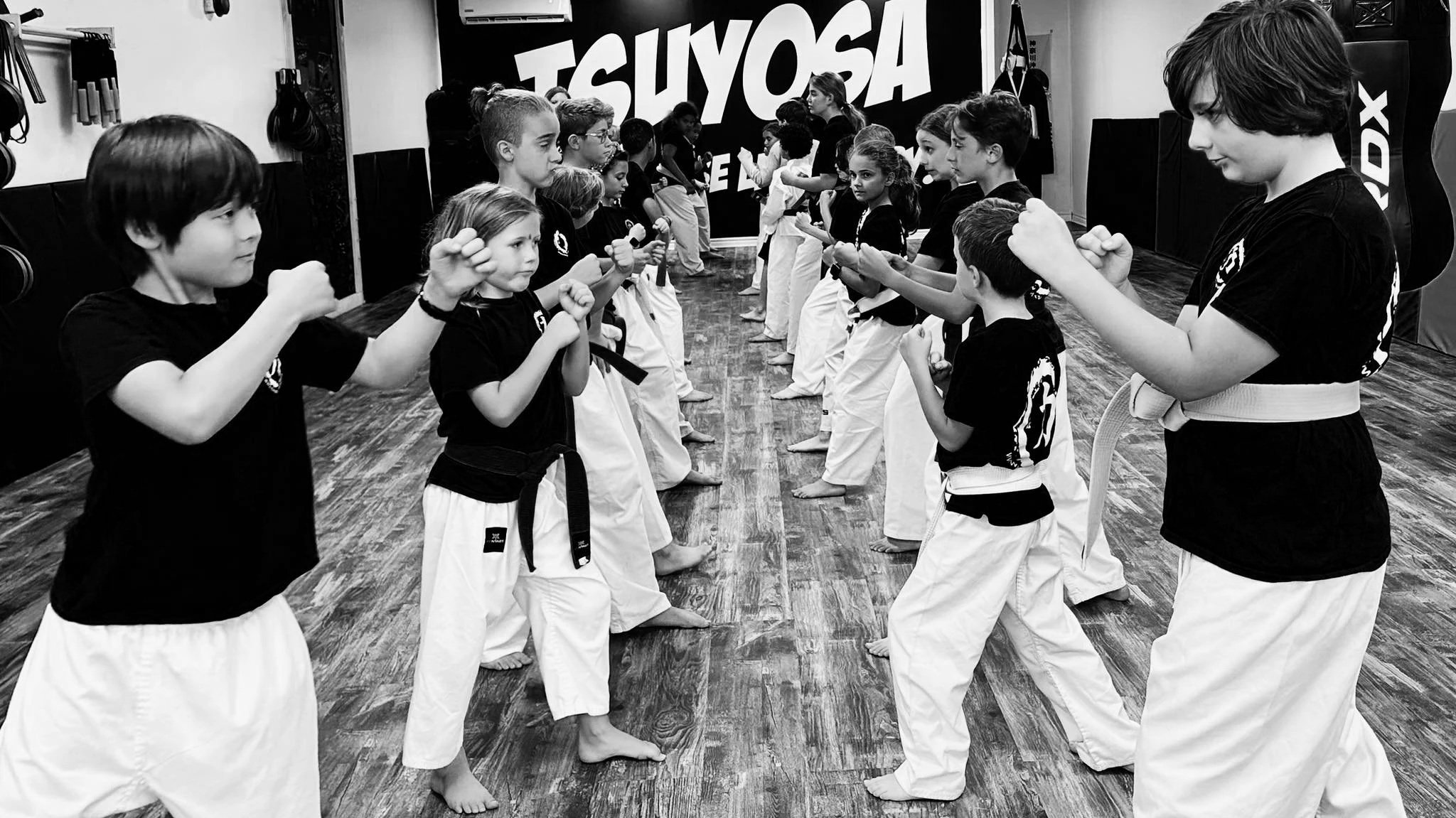 Main image of Tsuyosa Martial Arts