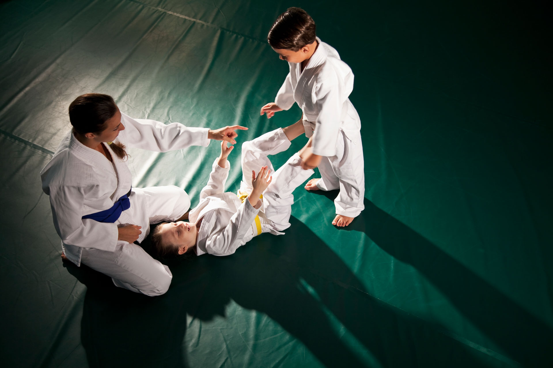 Main image of TV 1883 e.V. Hattersheim Judo