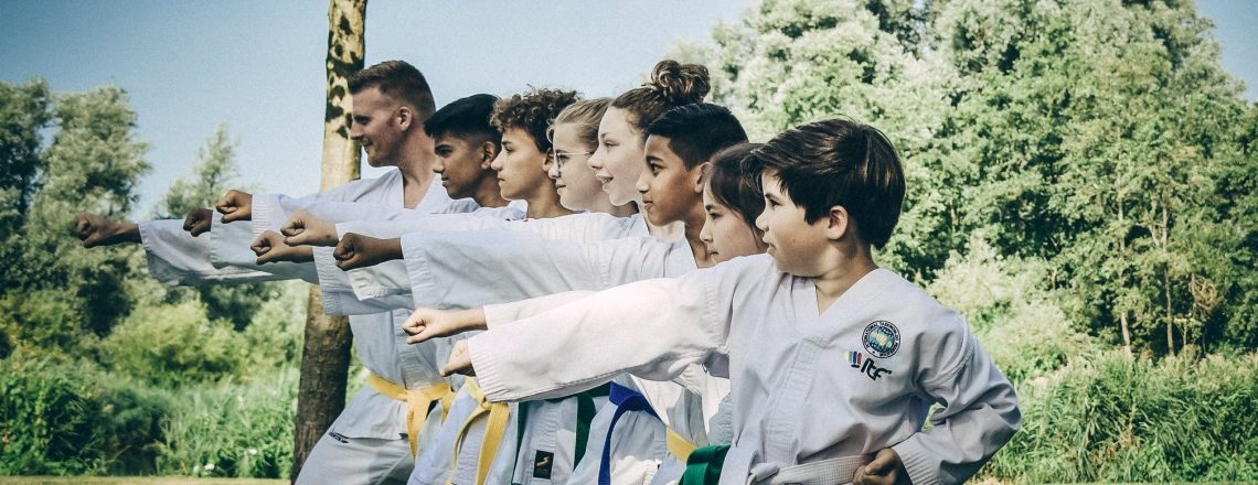 Main image of Twimyo Taekwondo Zaanstad