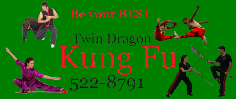 Main image of Twin Dragon Kung Fu