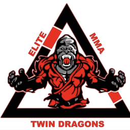 Main image of Twin Dragons Mixed Martial Arts & Fitness