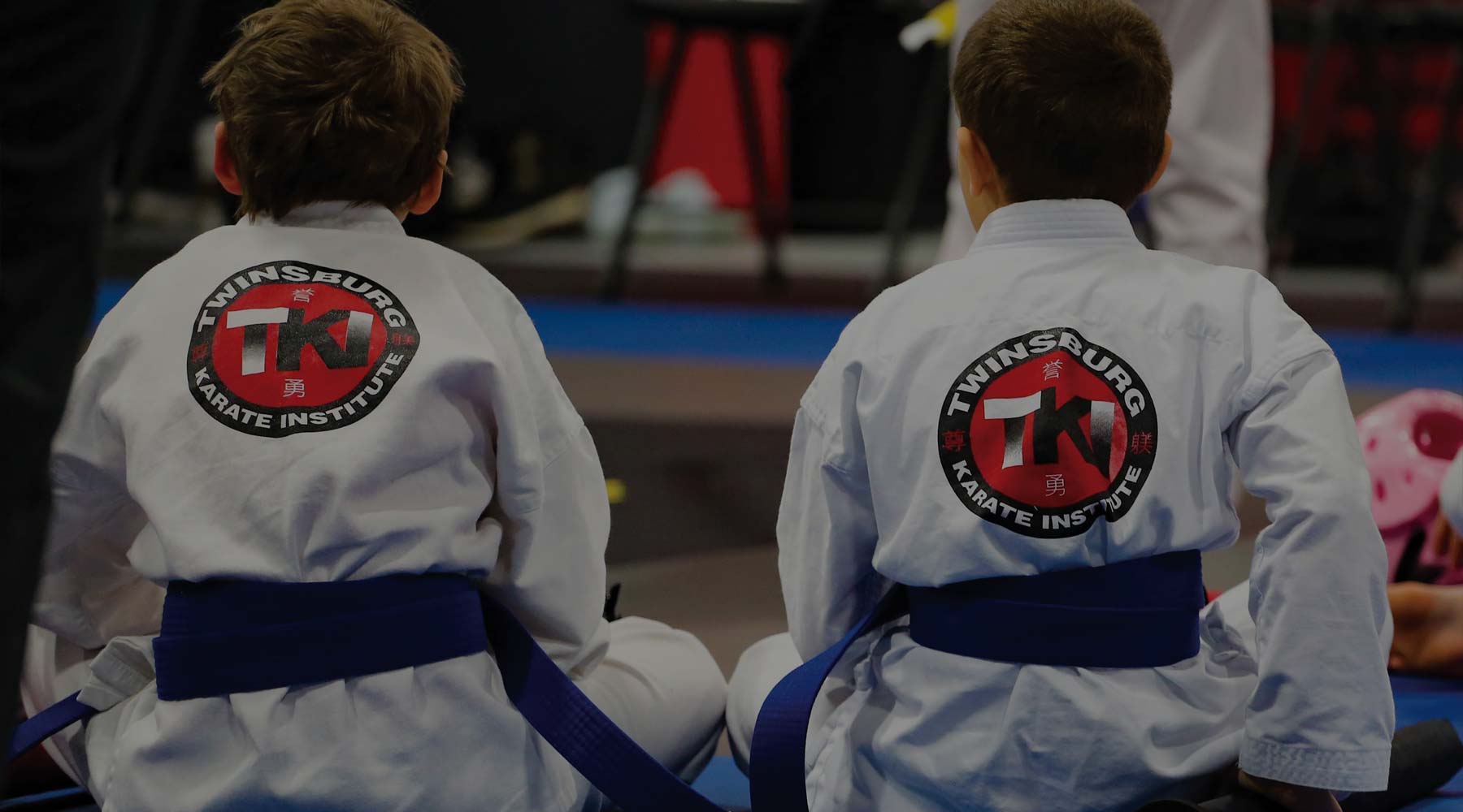 Main image of Twinsburg Karate Institute