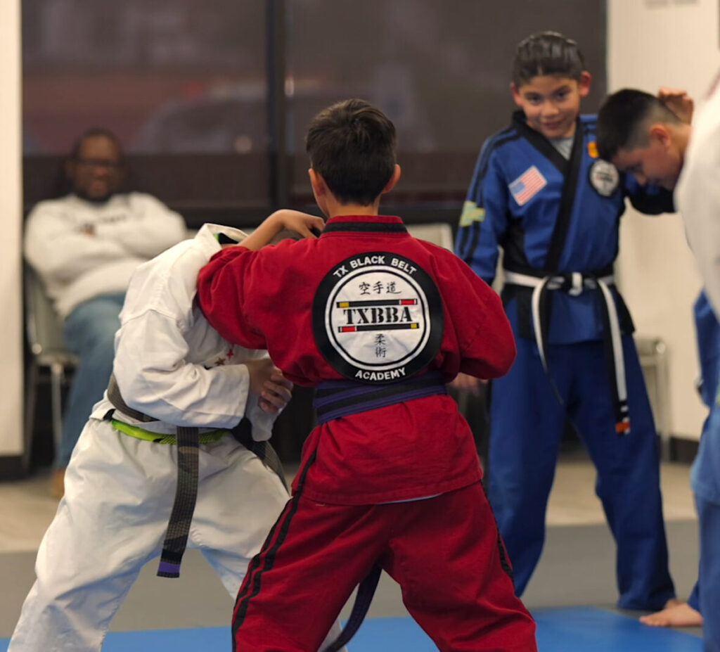 Main image of TX Black Belt Academy Flower Mound