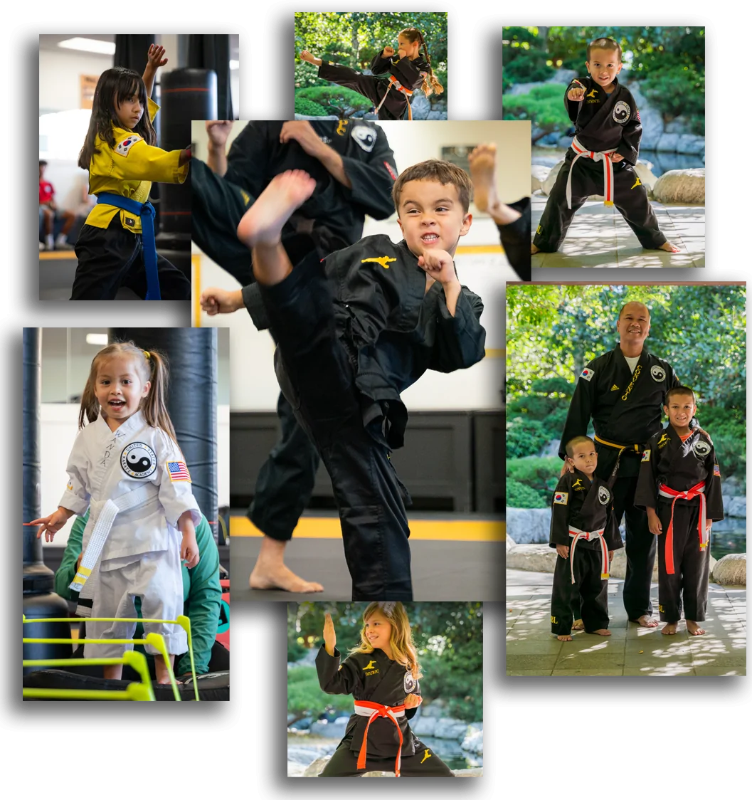 Main image of U.S. Karate Academy