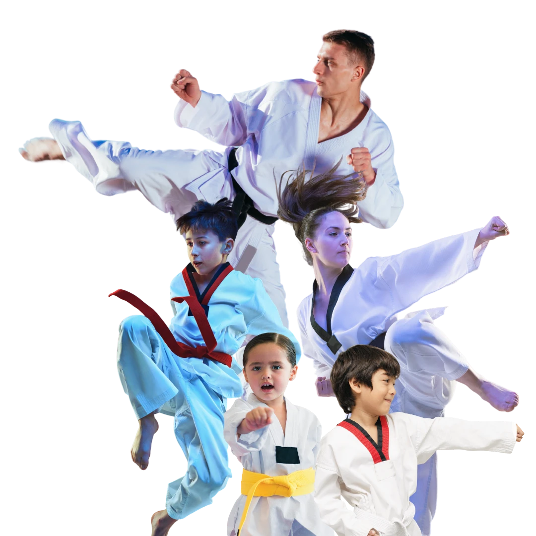 Main image of U.S. Taekwondo Korea
