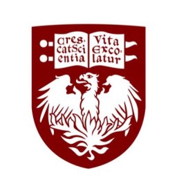 Main image of UChicago BJJ Sport Club