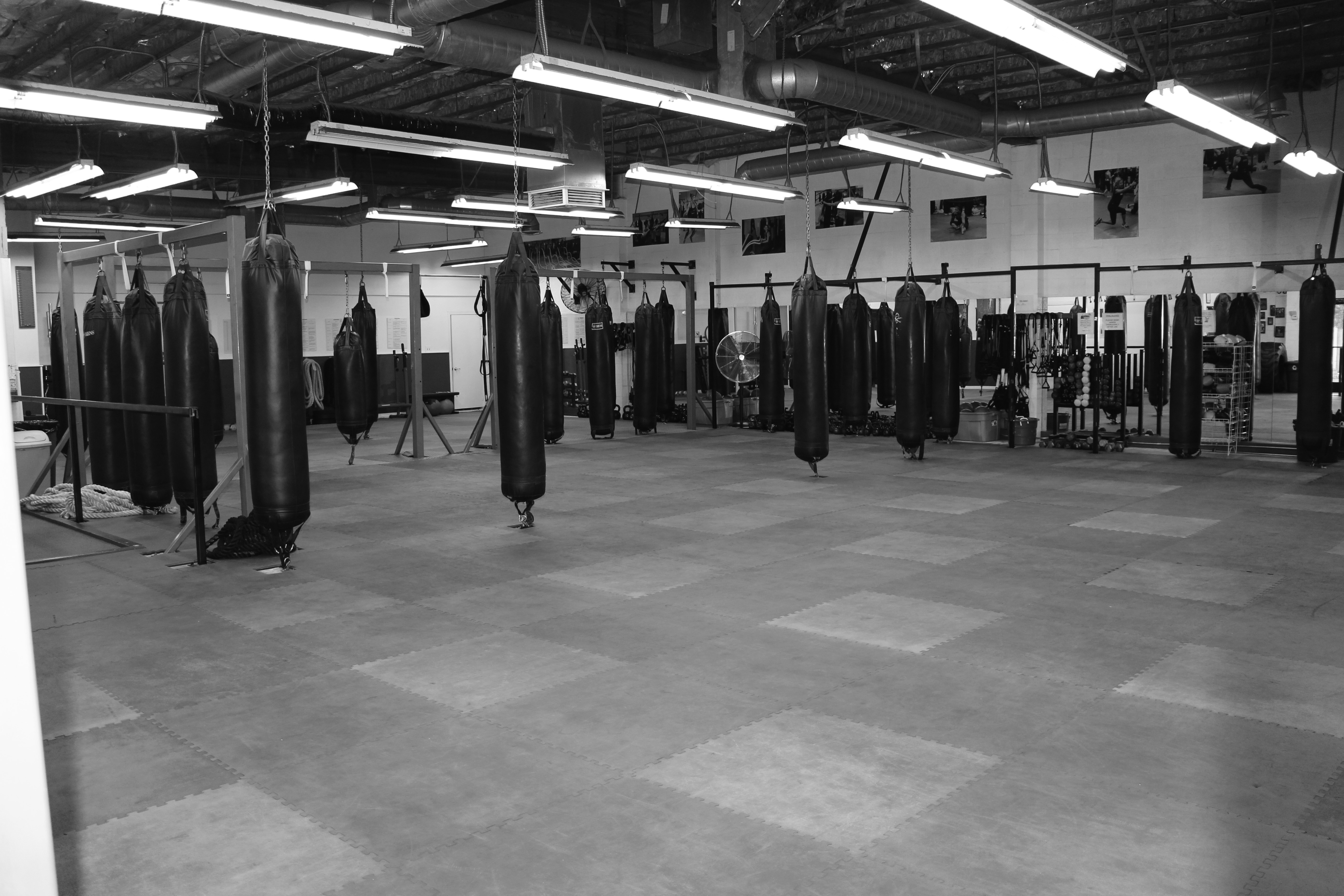 Ultimate Kickboxing & Fitness academy image