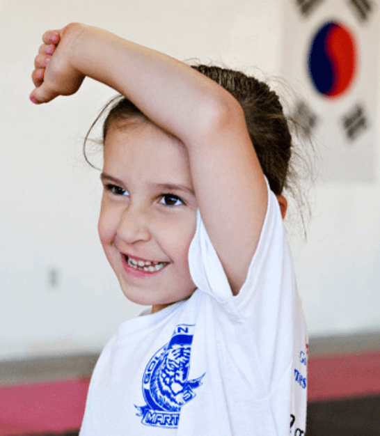 Main image of Ultimate Success Karate