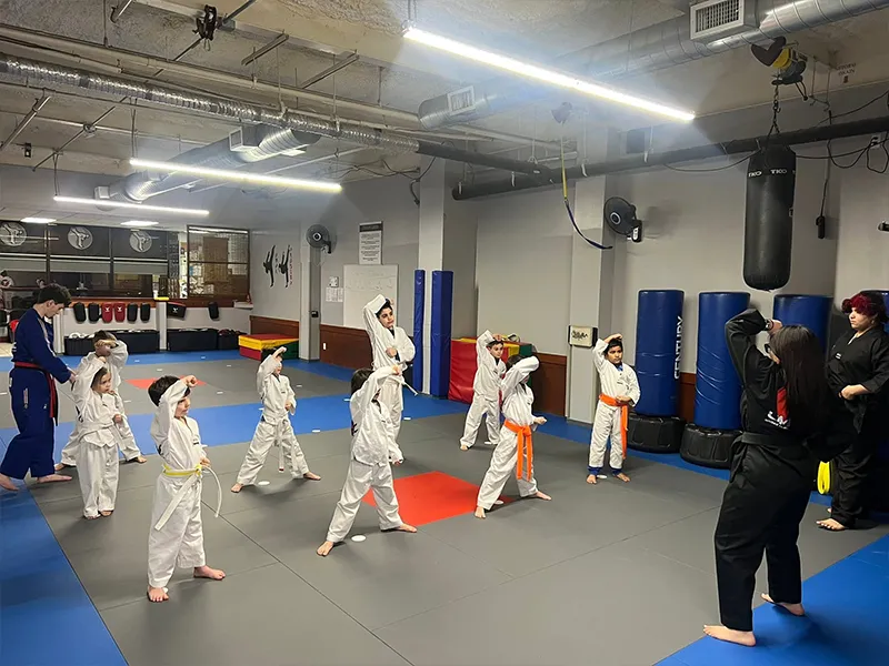 Main image of UMAC Ardsley - United Martial Arts Centers