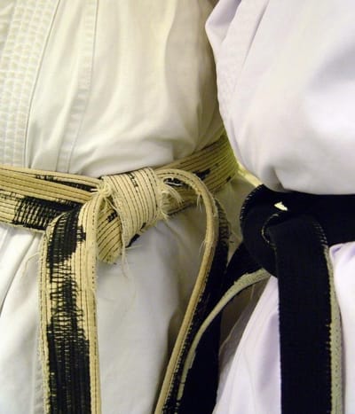Main image of Umeå Chikubukai karate dojo