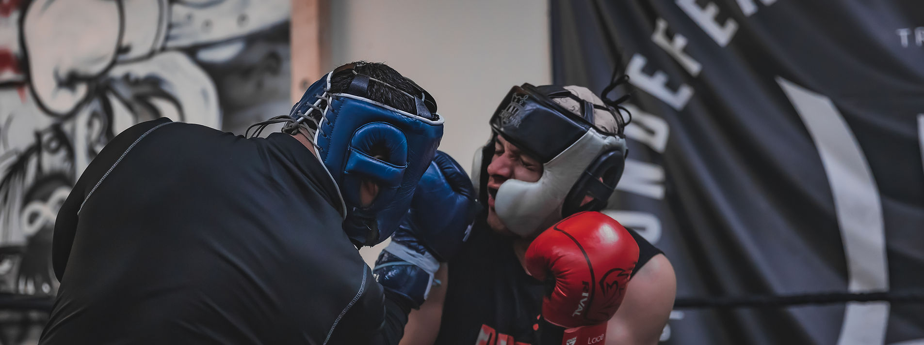 Undefeated Boxing Club academy image
