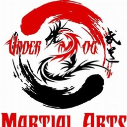 Main image of Underdog Martial Arts