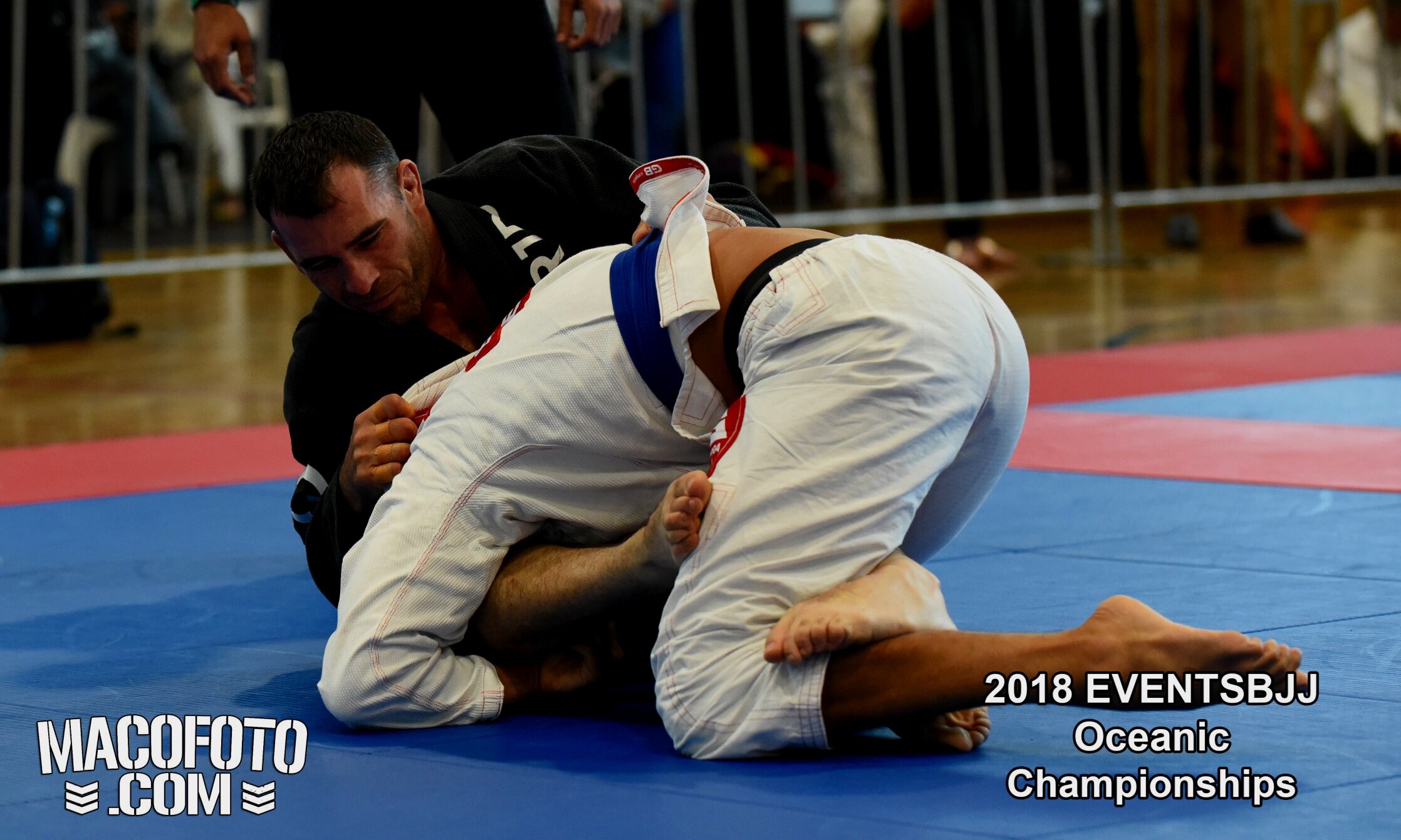 Main image of United BJJ and Boxing