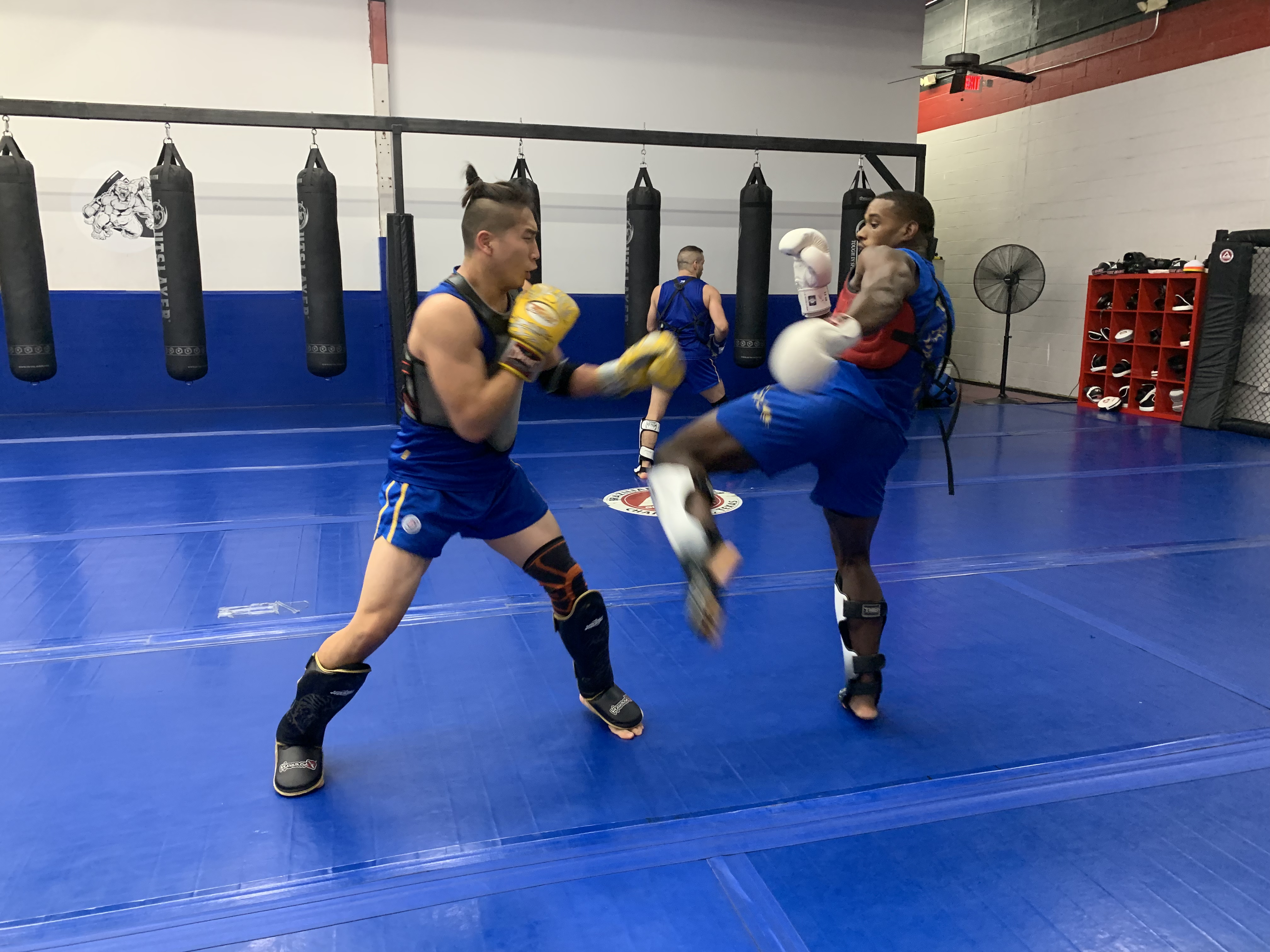 United Martial Arts Training Center
