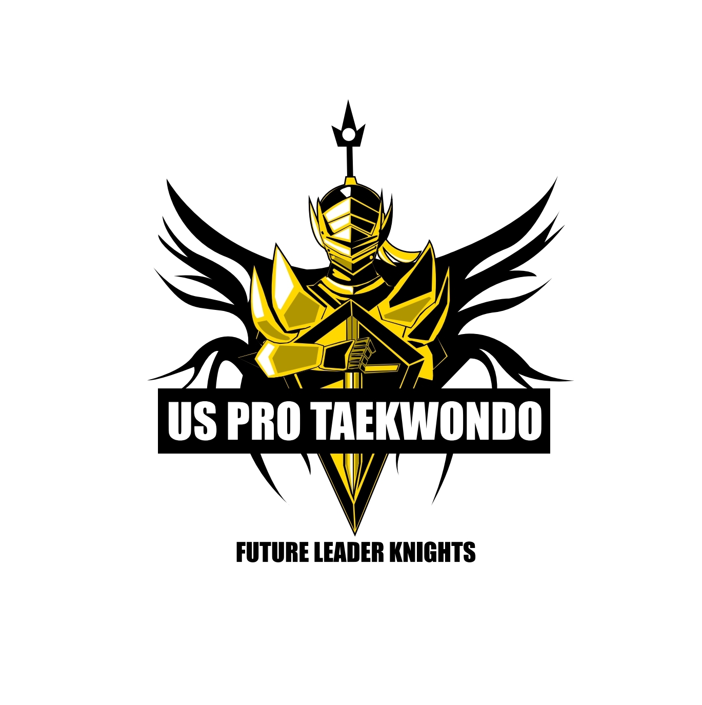 Main image of US Pro Tae Kwon Do