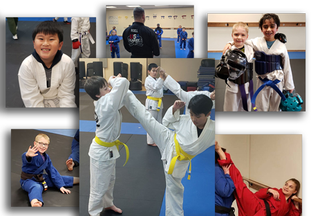 Main image of USA Karate Shakopee