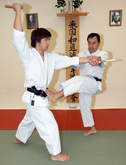 Main image of USA Wado Ryu Karate