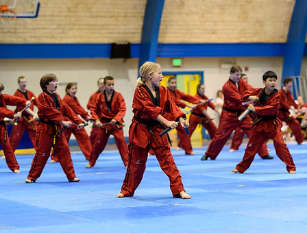 Main image of USTA Martial Arts-Ferndale