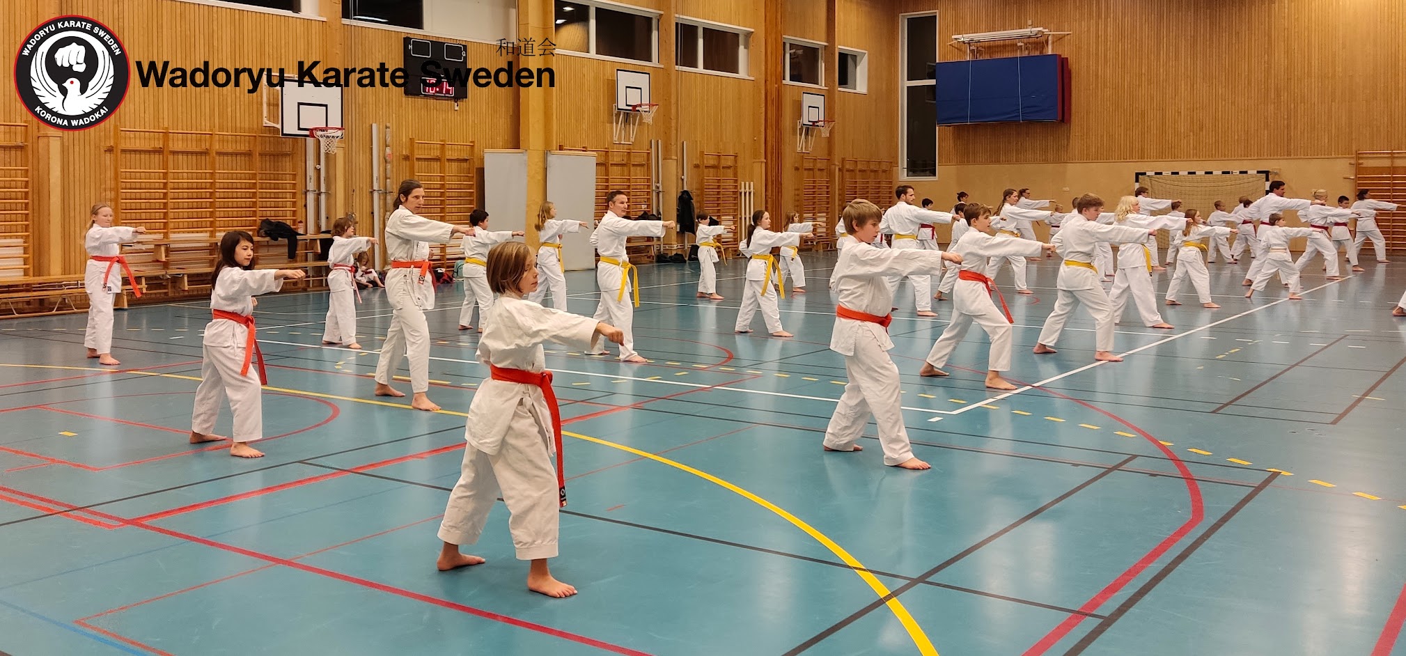 Main image of Vallentuna Wadoryu Karate
