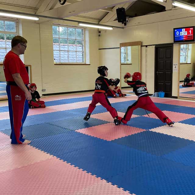 Main image of Valley Shorai Karate Club