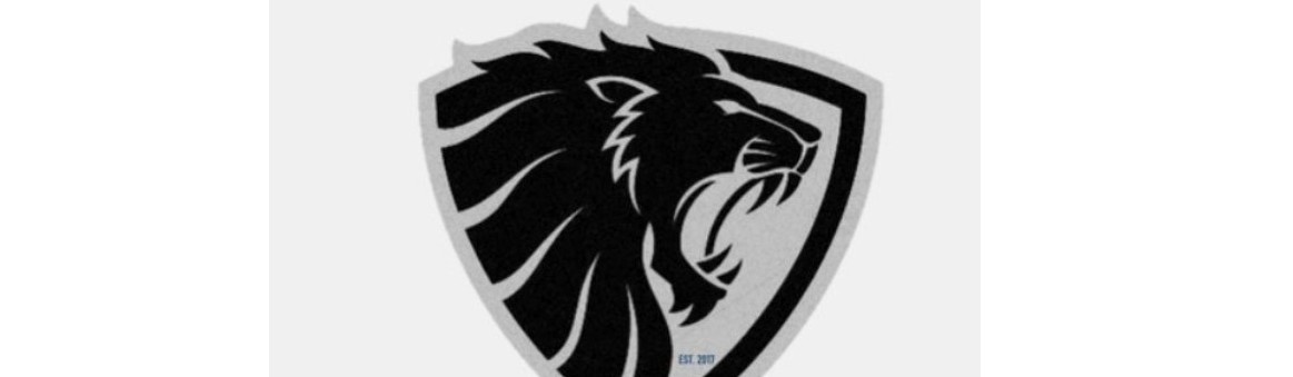 Main image of Valor Combat Academy