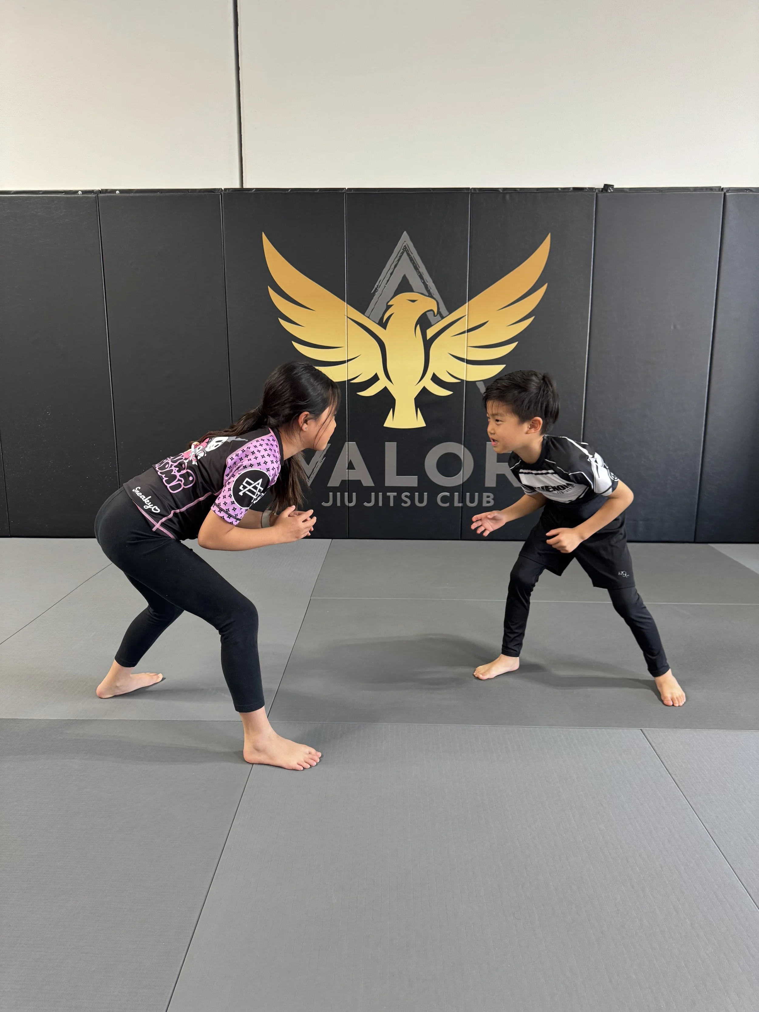 Valor Jiu Jitsu Club