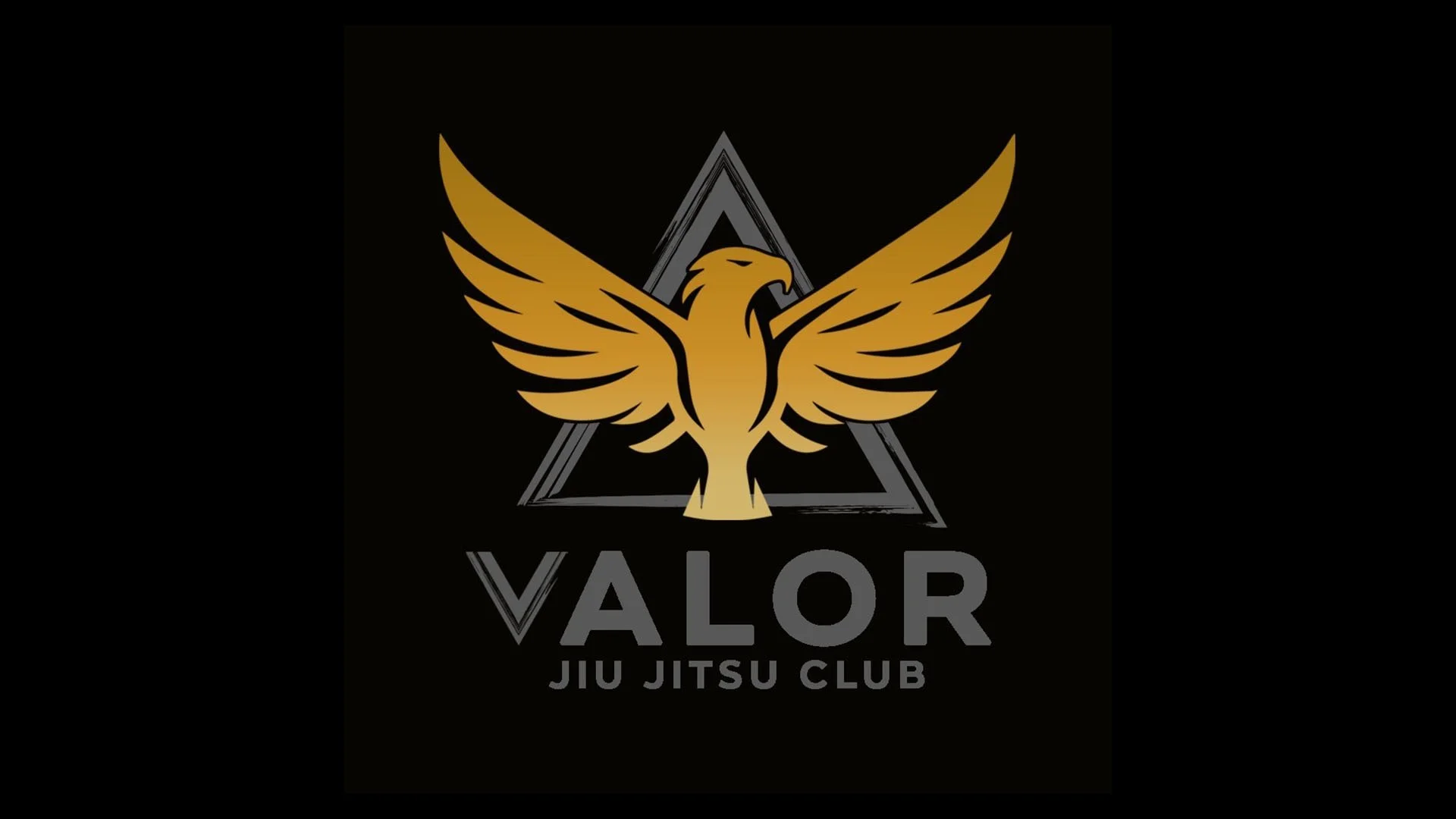 Valor Jiu Jitsu Club