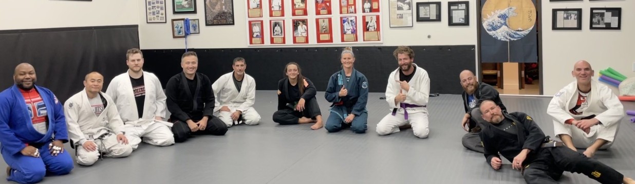 Main image of Vandry Brazilian Jiu Jitsu