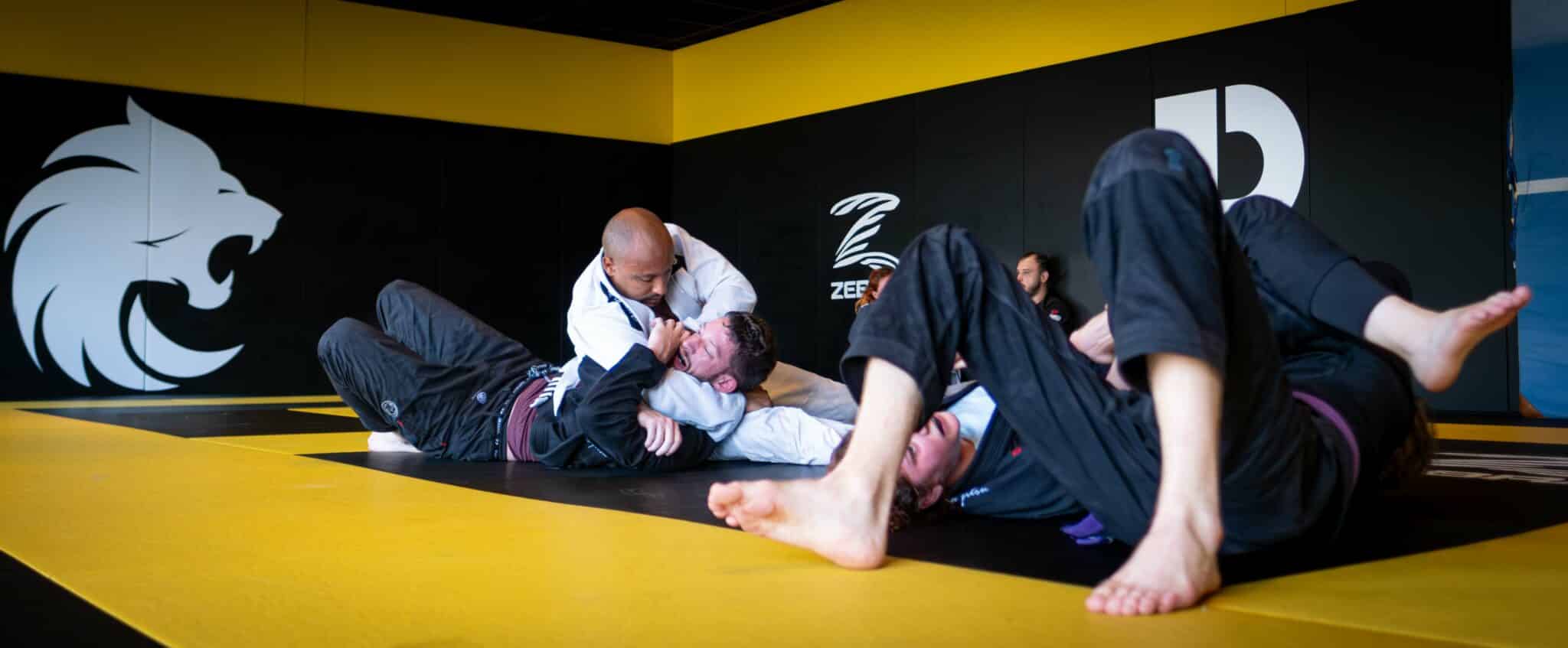 Main image of Vanguard Brazilian Jiu-Jitsu