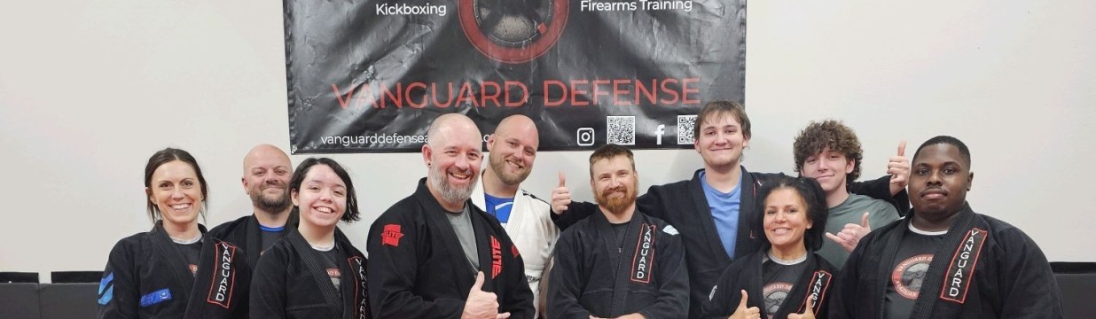 Main image of Vanguard Defense